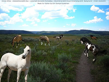 Herd Of Horses, horses, herd, wild, animals HD wallpaper