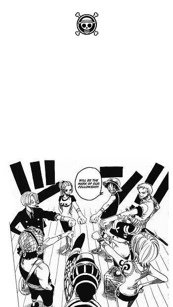 One Piece, Sanji, Anime, Luffy, Ussop, Zoro, Nami, Straw Hats, Chopper, Manga, Vivi HD phone wallpaper