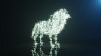 glow starry particle wolf shaped, light, particle, wolf HD wallpaper