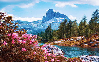 Becco di Mezzodì, Italy, river, dolomites, clouds, trees, sky, flowers, alps, mountain HD wallpaper