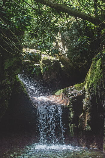 Captivating view of a small waterfall nestled in a dense jungle with lush foliage. HD phone wallpaper