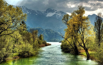 Trees on the Riversides, Water, Nature, River, Trees HD wallpaper