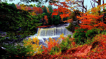 Autumn Waterfall, colors, trees, river, leaves, fall HD wallpaper