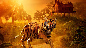 Angry tiger in 1440p, Intense power, Fierce animal, Striking HD wallpaper