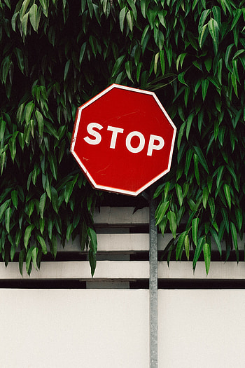 Words, Fence, Foliage, Sign, Stop HD phone wallpaper