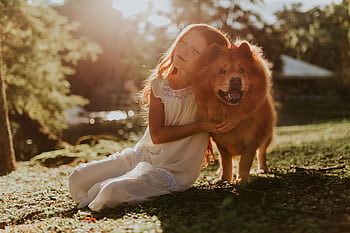 A young girl in a white dress hugging a fluffy dog during a bright summer day in the park. HD wallpaper