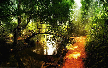 Nature, Rivers, Trees, Park, Path, Bridge, Trail, Clearances, Gaps HD wallpaper