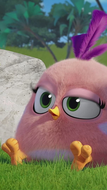 Angry Birds, Cartoon, Birds HD phone wallpaper