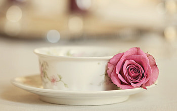 With Love, rose, pink, graphy, love, beautiful, pink rose, cup, lovely HD wallpaper
