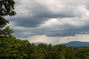 Nature, Trees, Sky, Bush, Branches HD wallpaper