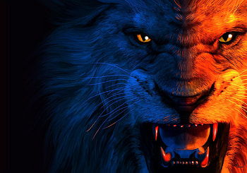 Angry Lion - & Background HD wallpaper