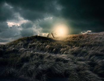 Grass, Clouds, Miscellanea, Miscellaneous, Glow, hop, Illusion, Light Bulb HD wallpaper