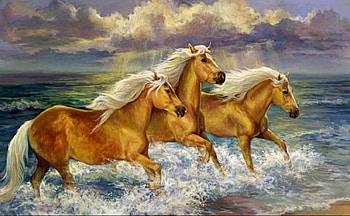 Through the Water, clouds, horses, water, animals HD wallpaper