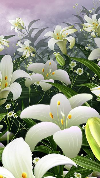 Calla lily, , Stunning visuals, Nature HD phone wallpaper