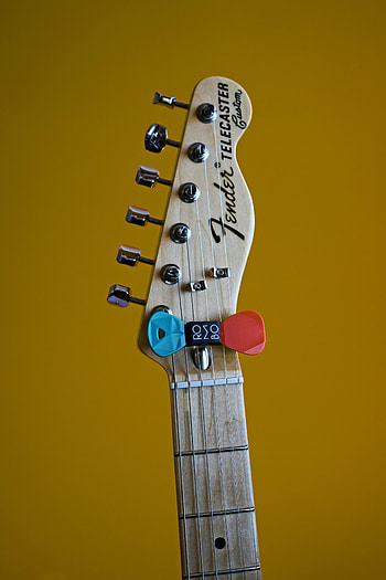 Music, Guitar, Musical Instrument, Vulture, Mediator HD phone wallpaper