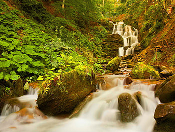 Small mountain waterfall, waterfall, autumn, nature, small, forest, mountain HD wallpaper