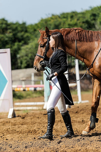 Equestrian fashion inspiration, Stylish riding gear, Fitness in equestrian, Reitbekleidung trends HD phone wallpaper