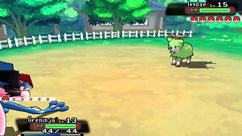 Pokemon Sun And Moon Jokes HD wallpaper