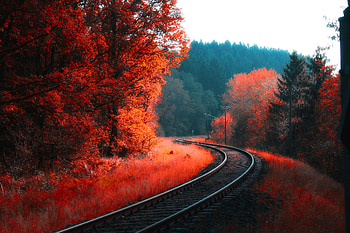 Railway Autumn Forest, autumn, forest, nature, railroad HD wallpaper