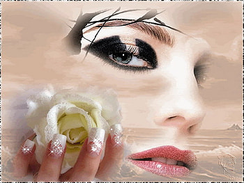 rose for U, rose, white, love, hand HD wallpaper