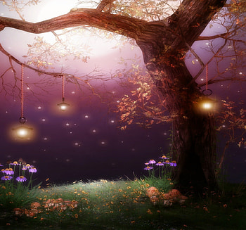 Lovely and romantic lights, colorful, awesome, columns, peaceful, wonderful, elfs, moon, animals, amazing, avantgarde, magic, art, paradise, loveley, grass, lovelyparadise, tree, like, fairy, drawing, light, view, fields, dreamland, nature, romantic, flowers, splendor HD wallpaper