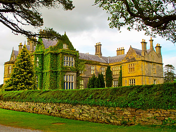 House HD wallpaper