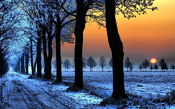 Winter Sunset, snow, house, landscape, trees, alley HD wallpaper