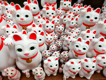 Japanese Lucky Cat, Cute Wall Art, Ethereal Aesthetic, Serene Presence HD wallpaper