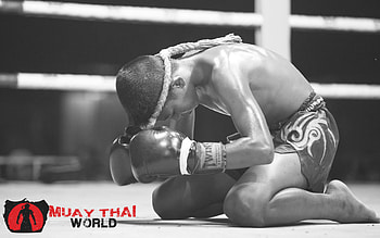 Muay Thai , 2016 edition, Dynamic poses, Powerful strikes HD wallpaper