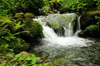 Nature, Waterfall, Park, Georgia, Mtirala Adjara HD wallpaper