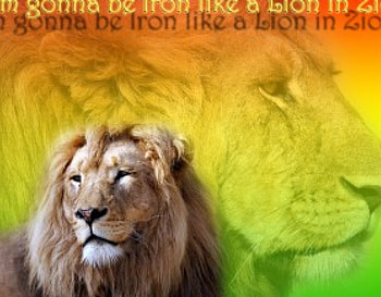 I'm gonna be ..., music, animals HD wallpaper