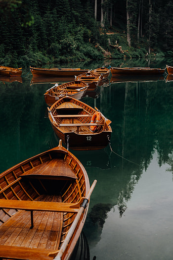 Nature, Water, Trees, Boats, Lake, Forest HD phone wallpaper