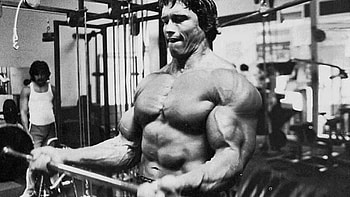 Arnold Schwarzenegger, Bodybuilder legend, Impressive physique, Iconic celebrity HD wallpaper