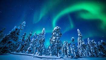 Wintry wonderland, Snow-covered forests, Arctic serenity, Frozen landscapes HD wallpaper
