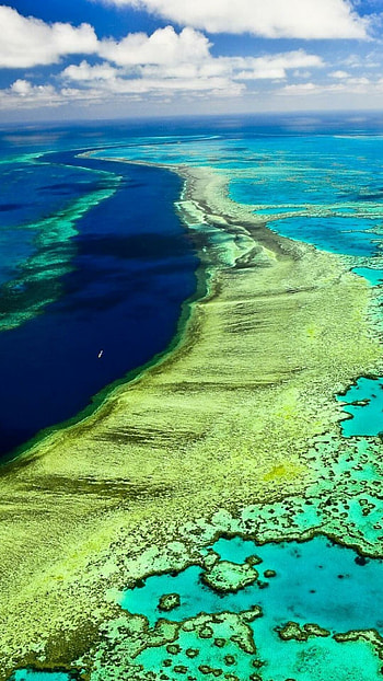 Great Barrier Reef, Stunning , Mesmerizing beauty, Natural wonder HD phone wallpaper