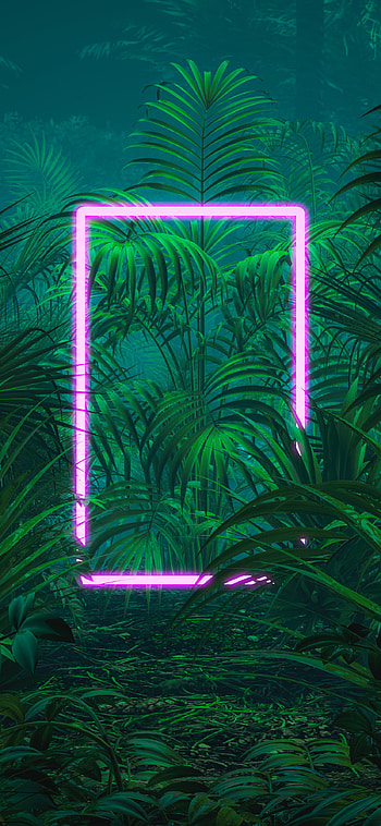 Green and pink wallpap HD phone wallpaper