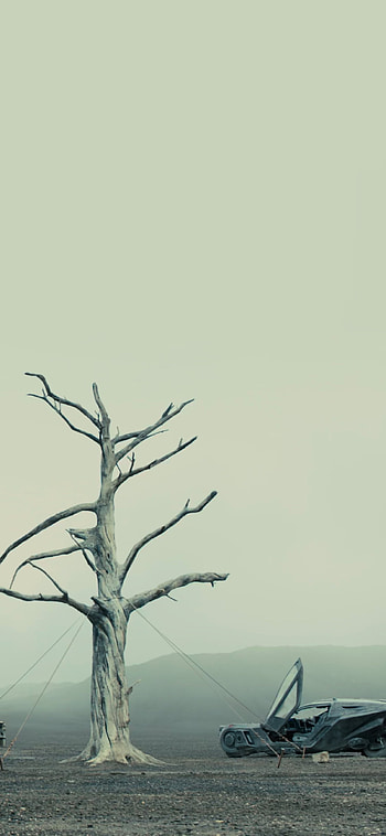 Blade Runner 2049 HD phone wallpaper