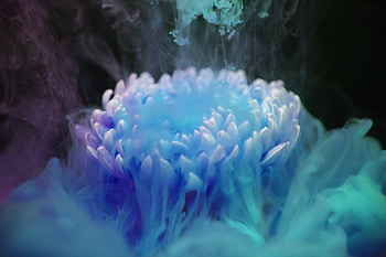 Ink, dipping, aquatic art, abstract HD wallpaper