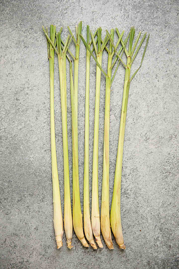 Cooking with lemongrass, Healthy recipes, Lemongrass flavor, Exciting flavors HD phone wallpaper