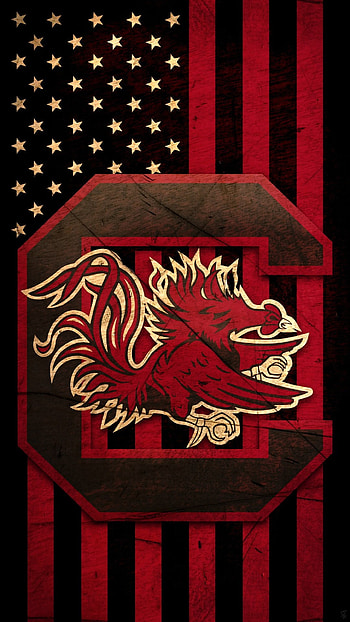 Gamecocks, Team logo, College sports, Strong identity HD phone wallpaper