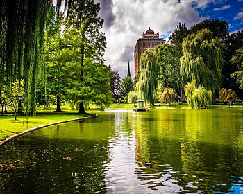 Green Haven, urban, heaven, green, trees, nature, lake, beauty HD wallpaper