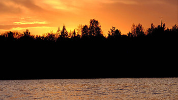River Trees Forest In Silhouette Background During Sunset Nature HD wallpaper