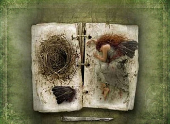 What She's Made Of, fairy, wings, scalpel, nest HD wallpaper