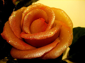 sweet roses 1, sweet, rose, , food HD wallpaper