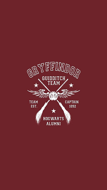 Quidditch movies, Gryffindor , Harry Potter , Background options HD phone wallpaper