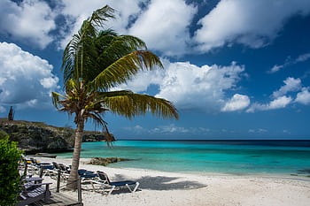 Relax under palm trees on a tranquil tropical beach with clear blue waters and a vibrant sky. HD wallpaper