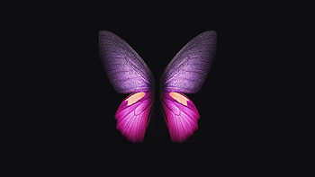 Samsung Galaxy Fold Pink Butterfly HD wallpaper
