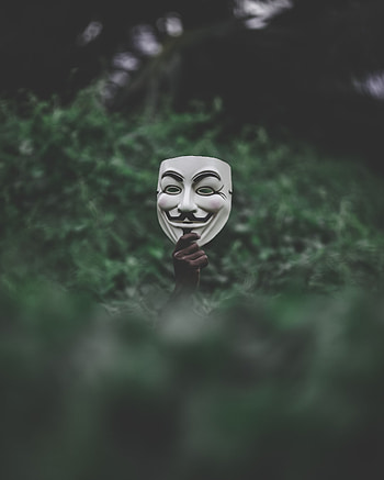 Grass, Hand, Miscellanea, Miscellaneous, Mask, Anonymous HD phone wallpaper