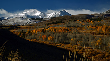 Landscape, Nature, Trees, Mountains, Snow, Vertex, Tops, Snow Covered, Snowbound HD wallpaper