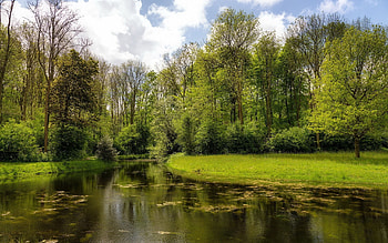 Nature, Rivers, Grass, Summer HD wallpaper